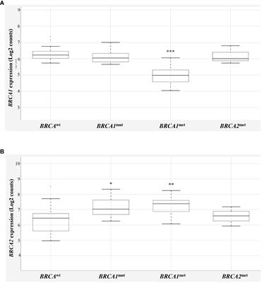 Similarities and differences in gene expression profiles of BRCA1 methylated and mutated epithelial <mark class="highlighted">ovarian cancers</mark>